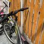Apollo Creed Bike - 24" Wheel Junior Mountain Bike Image 2