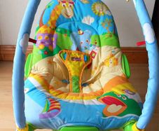 Baby Bouncer