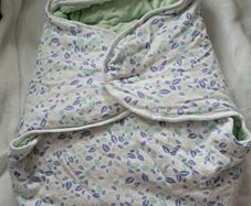 baby carseat insert