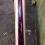 Bentini 27.5" Mountain Bike Image 5