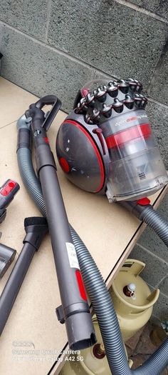 Dyson Big Ball Animal 2