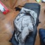 Knog double bicycle pannier, converts to backpack Image 8