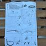 X3 Bicycle Car Rack Image 10