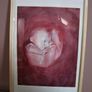 Original Watercolour Painting Framed Image 2