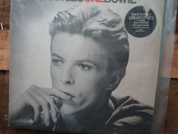 david   bowie