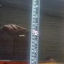 tv stand Image 4