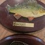 fishermans tale plaques Image 5
