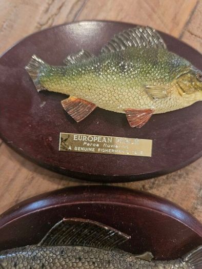 fishermans tale plaques