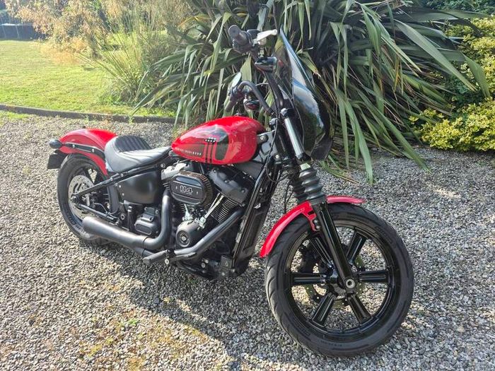 2024 Harley Davidson Street Bob