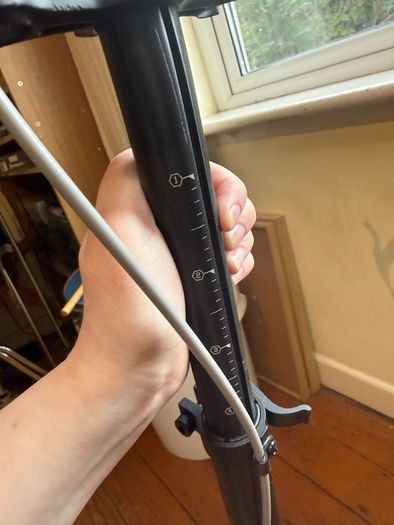 Adult scooter