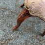 Antique Victorian Era Parlor Chair Image 5