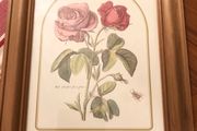 Vintage Rose Botanical Print Framed - Nederlandsch Bloemwerk Cottagecore Wall Art  11.6 inches x 14.8 inches