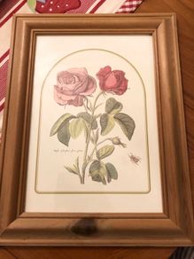 Vintage Rose Botanical Print Framed - Nederlandsch Bloemwerk Cottagecore Wall Art  11.6 inches x 14.8 inches