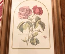 Vintage Rose Botanical Print Framed - Nederlandsch Bloemwerk Cottagecore Wall Art  11.6 inches x 14.8 inches