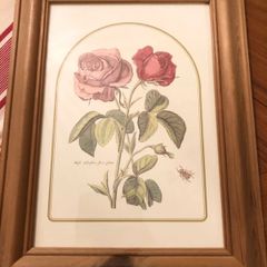 Vintage Rose Botanical Print Framed - Nederlandsch Bloemwerk Cottagecore Wall Art  11.6 inches x 14.8 inches