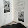Wild Life at Home: How to Study and Photograph It by R. Kearton (GT806) Image 6