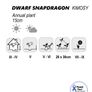 (S) Snapdragon Kimosy seeds 0.1g (415564) Image 3