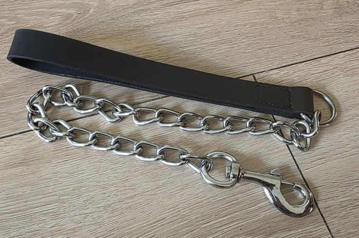 dog leather harness with free chain lead