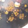 19th Century French Victorian Mother-of-Pearl Centre Table Image 4