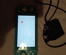 Nintendo switch lite