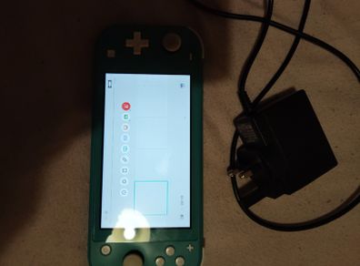 Nintendo switch lite