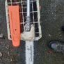 Stihl km pole saw Image 5