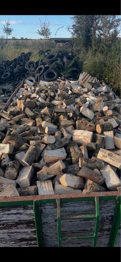 Firewood