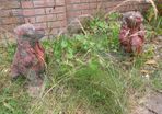 Garden status