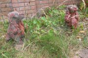 Garden status