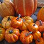 Halloween Decorations Image 3
