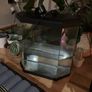 25L Ciano Fish Tank Image 2
