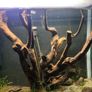 fish tank Image 3
