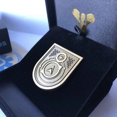 Destiny 2 - Wayfarer seal pin. Rare and Retired