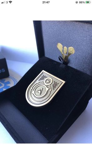 Destiny 2 - Wayfarer seal pin. Rare and Retired