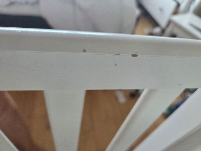 White cot