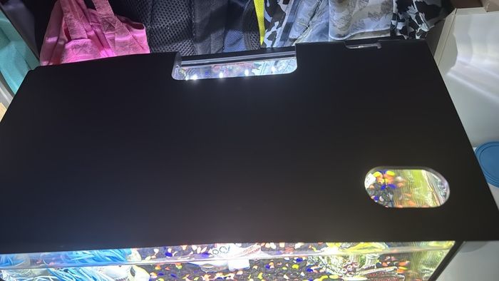 60 litre fish tank