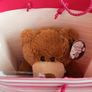 new teddy with tag in gift bag Image 2