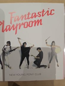 New Young Pony Club - Fantastic Playroom.