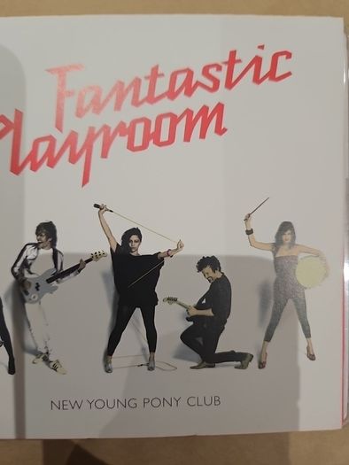 New Young Pony Club - Fantastic Playroom.