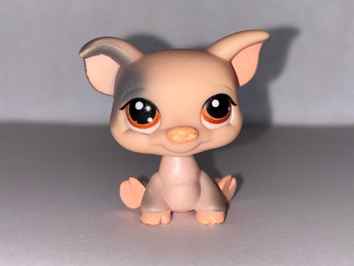 littlest pet shop (LPS) Pig bundle!