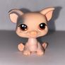 littlest pet shop (LPS) Pig bundle! Image 6