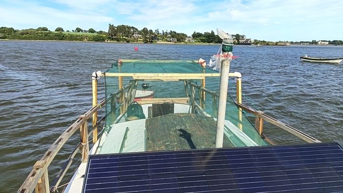 32 FT sailing boat 4 sleeper