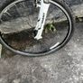 giant  roam 3 mountain bike Image 2