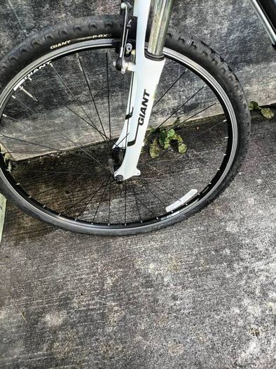 giant  roam 3 mountain bike