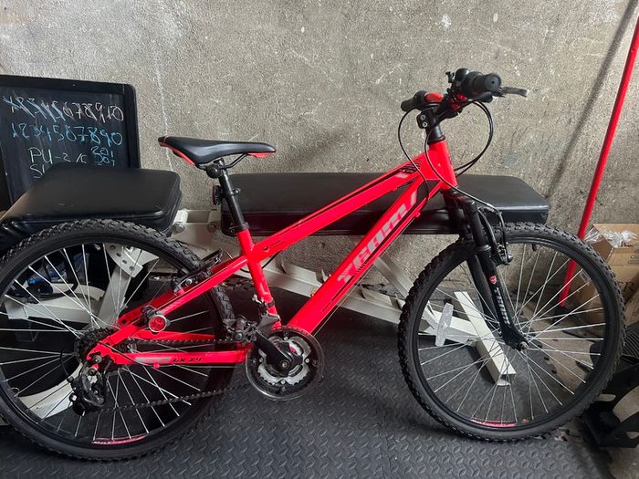 Kids 24in Bike