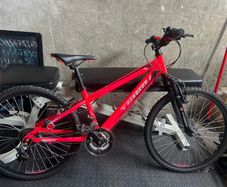 Kids 24in Bike