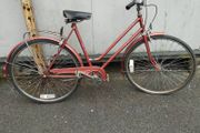 ladies vintage bike
