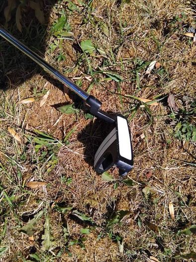 junior golf clubs