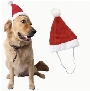Dog Santa Hat