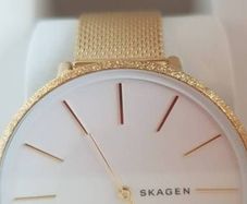 New Ladies Skagen Watch